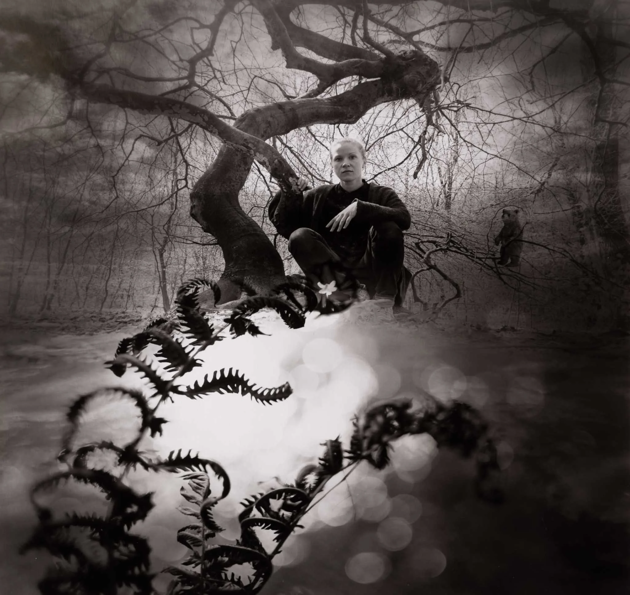 American Jerry Uelsmann — The Ashley Gibson Barnett Museum of Art